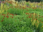 dsc_0055