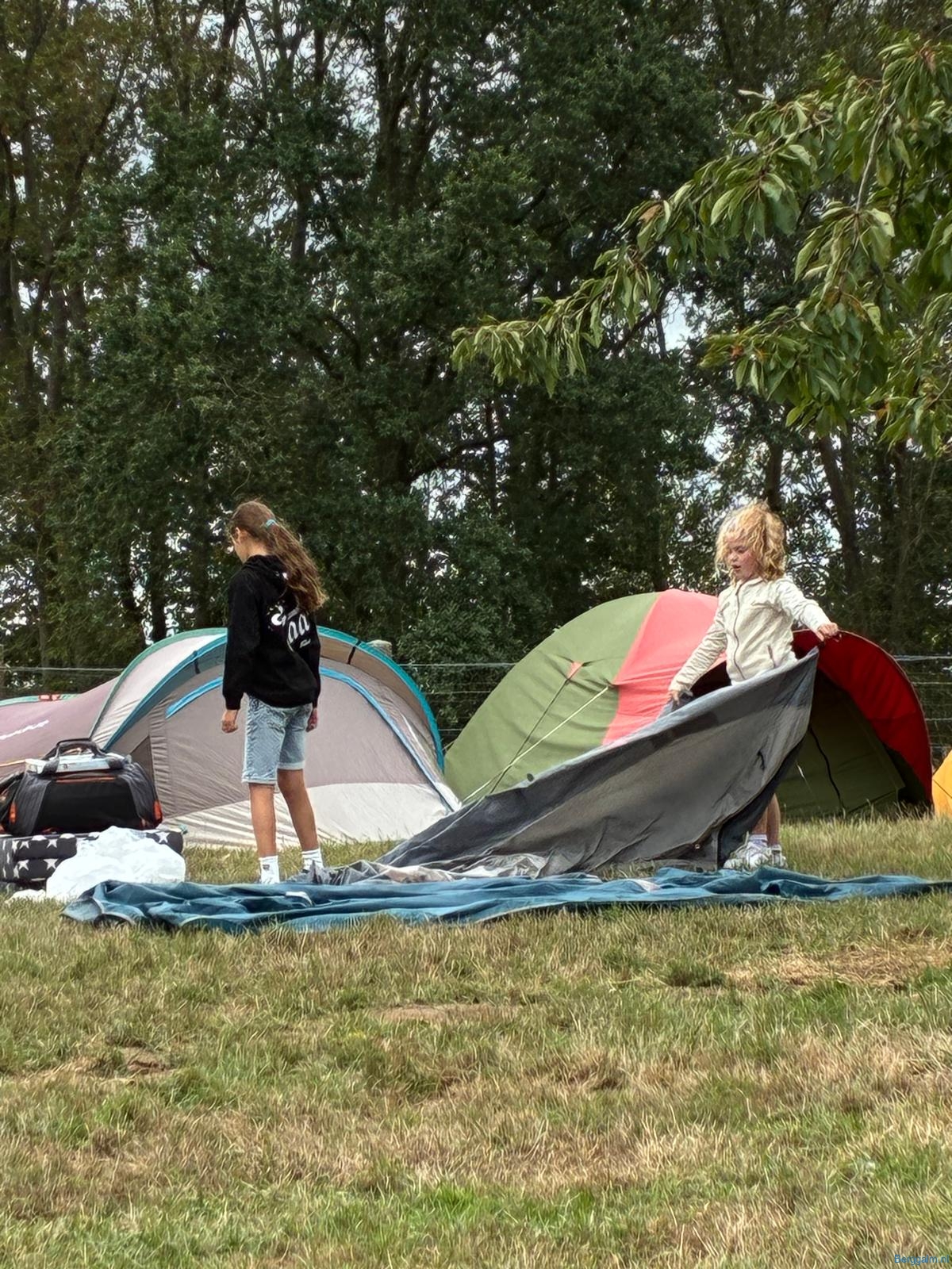 IMG-20260830-WA0102