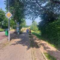 IMG-20260530-WA0002